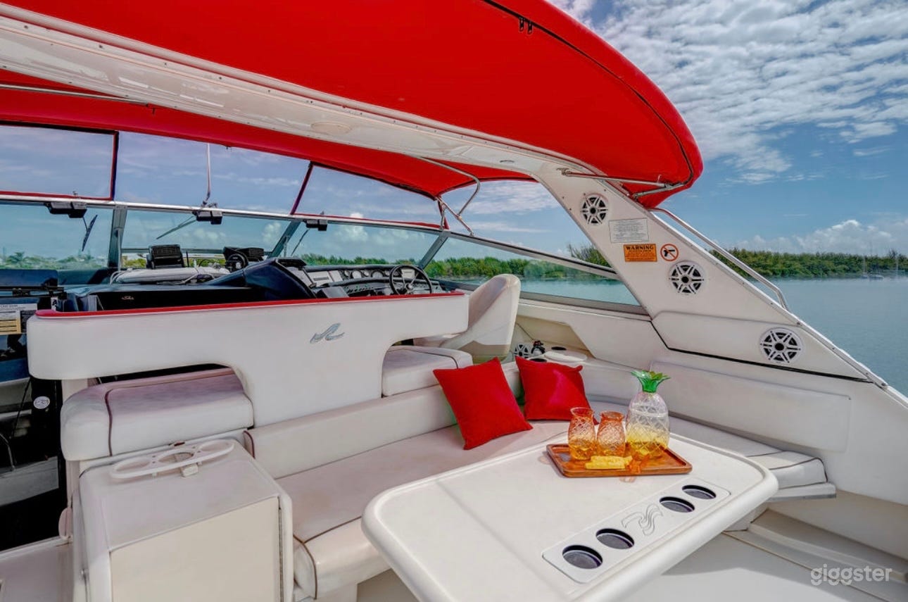 Sea Ray 55' Yacht | Stocks N Blondes Photo 3
