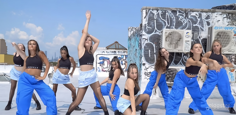  Private Rooftop w/ Manhattan Skyline View 