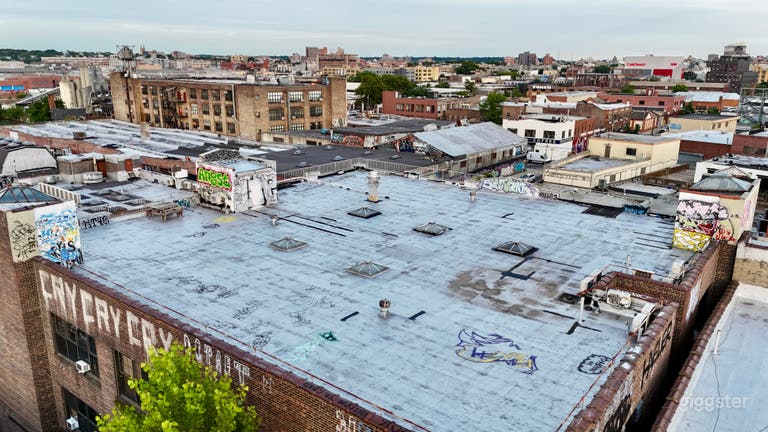  Private Rooftop w/ Manhattan Skyline View 