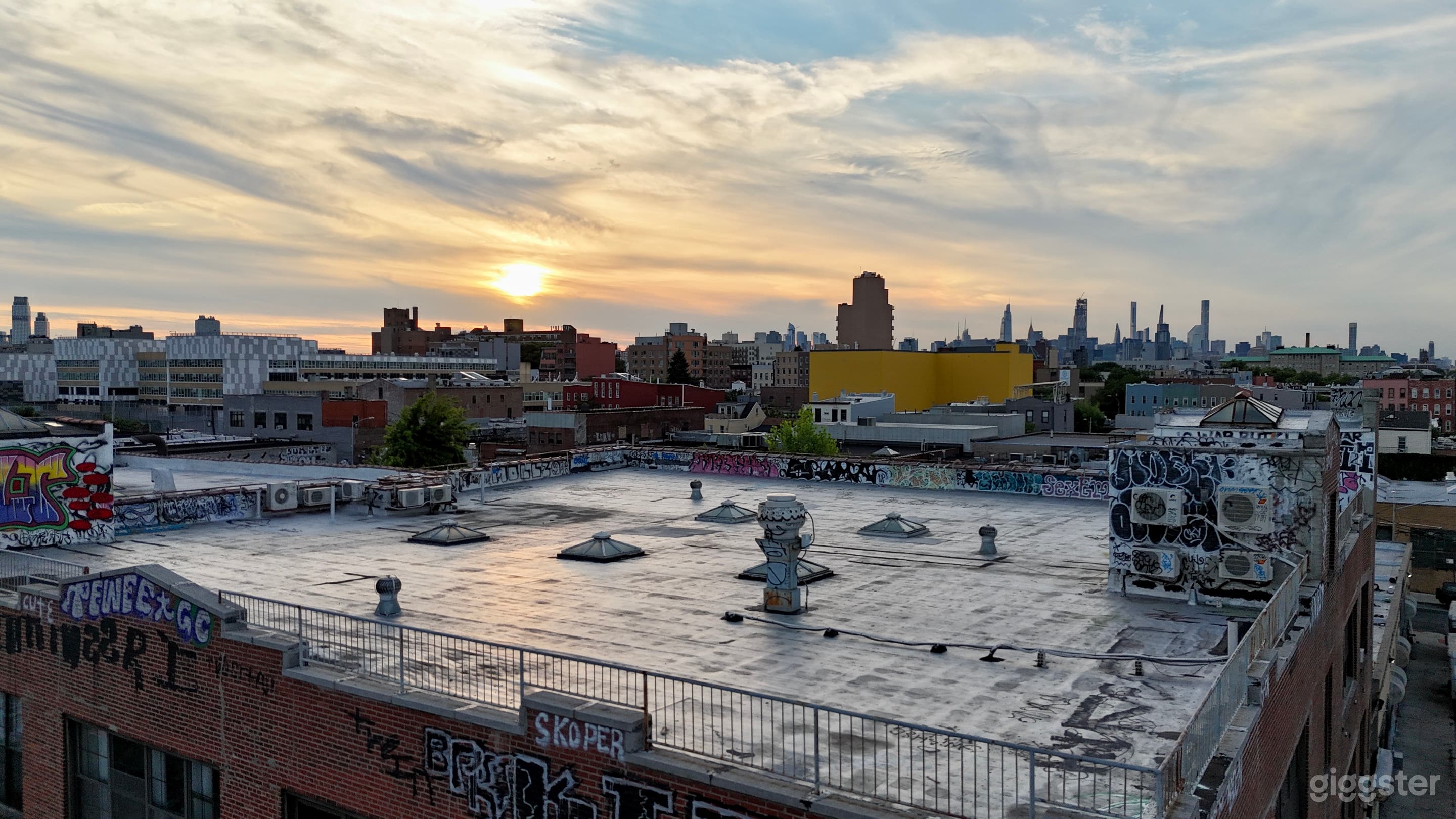 Private Rooftop w/ Manhattan Skyline View Photo 3