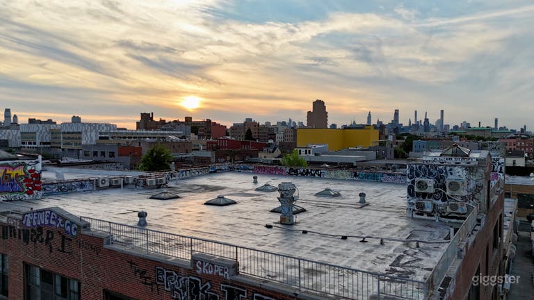  Private Rooftop w/ Manhattan Skyline View 