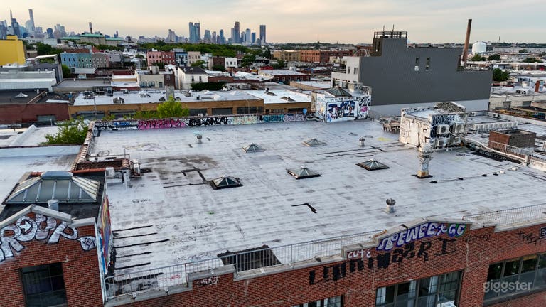  Private Rooftop w/ Manhattan Skyline View 