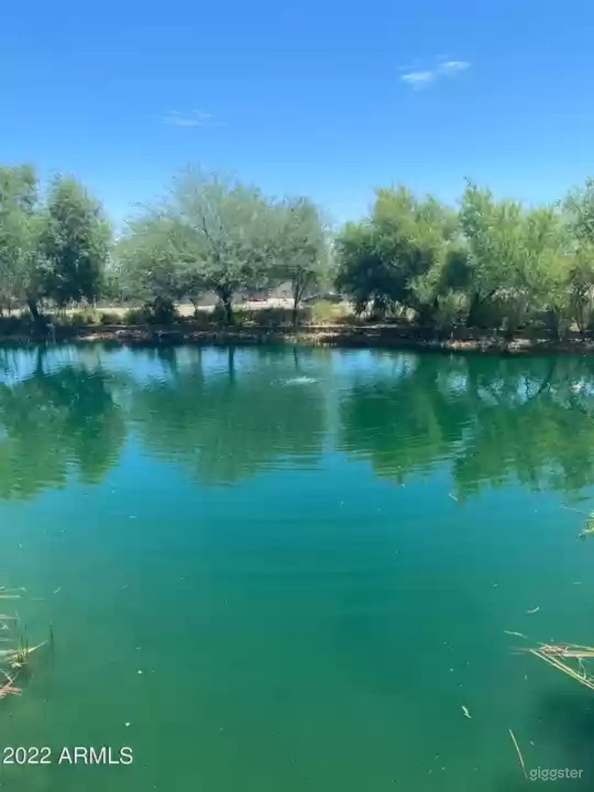 1 acre pond with fishing in the desert Photo 2