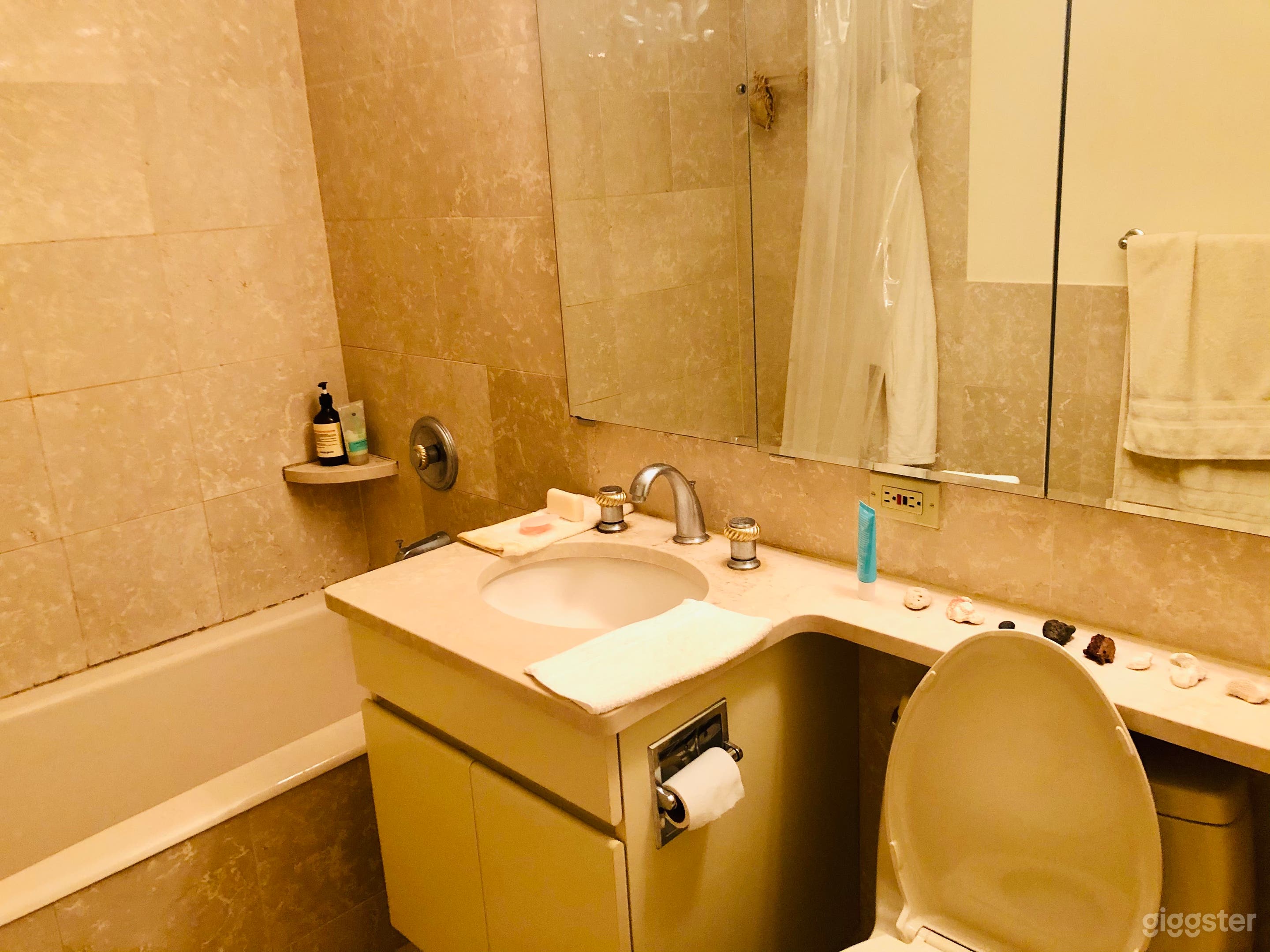 Luxury Artistic Gracious NYC 1B Apartment Photo 3