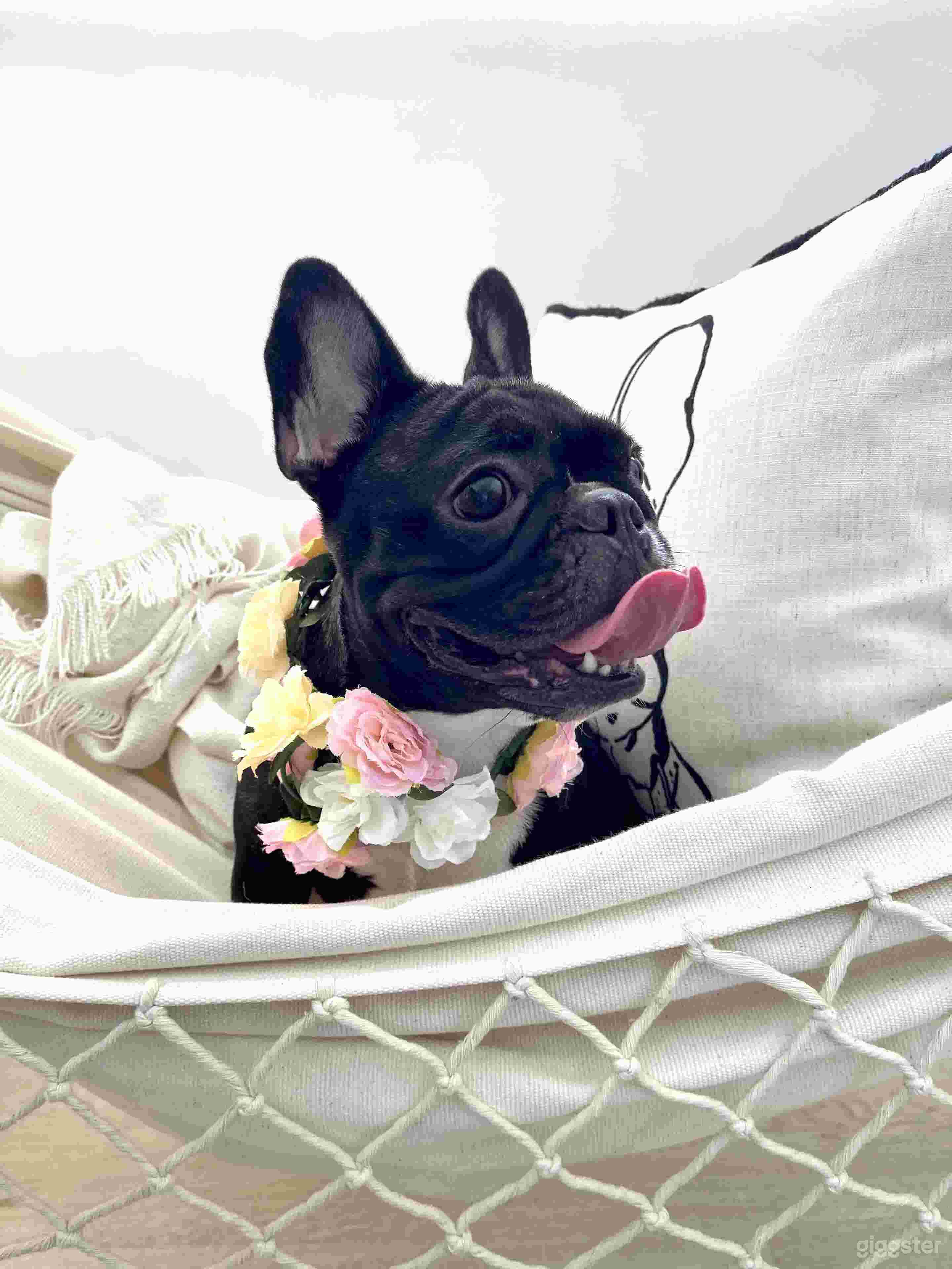 Scandinavian Concrete (East) Photo 4