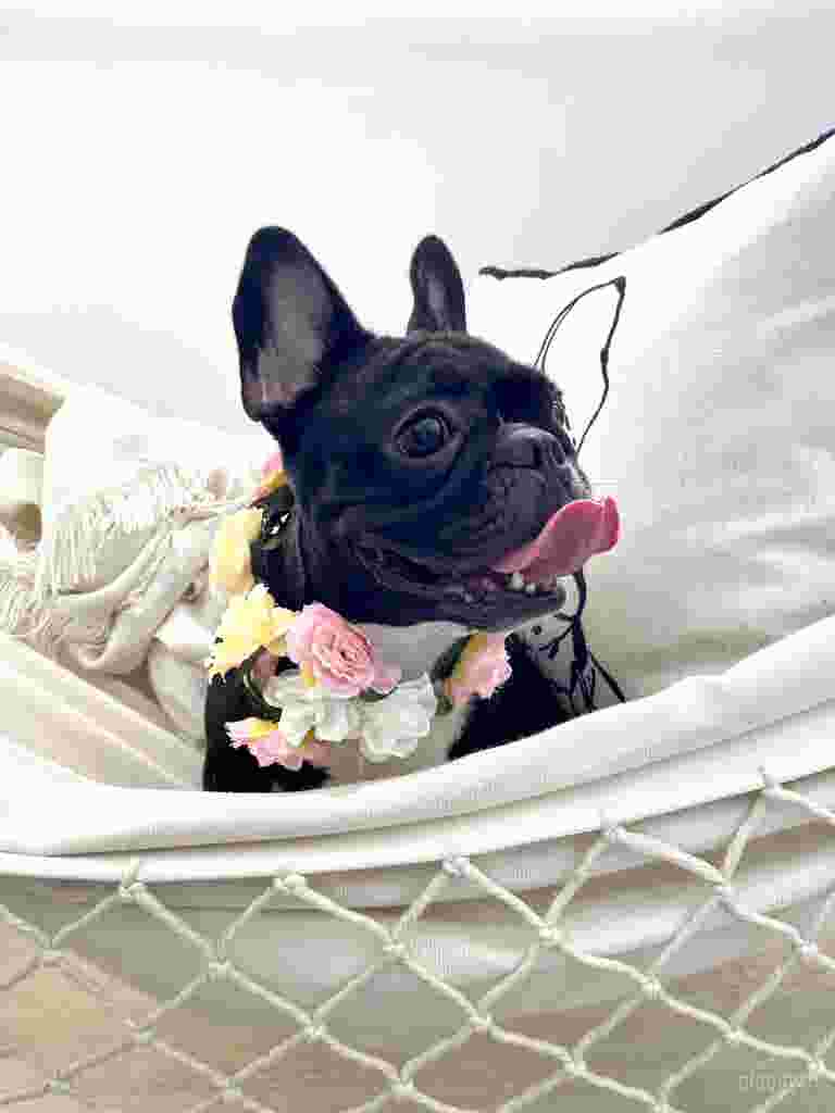  Scandinavian Concrete (East) 