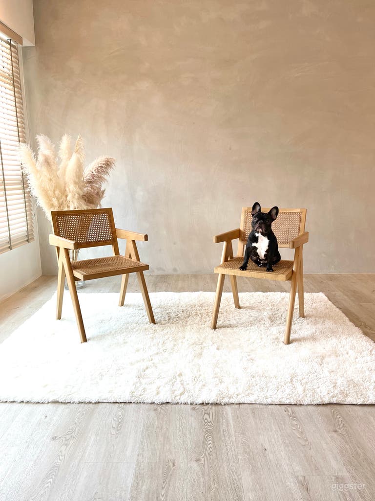  Scandinavian Concrete (East) 