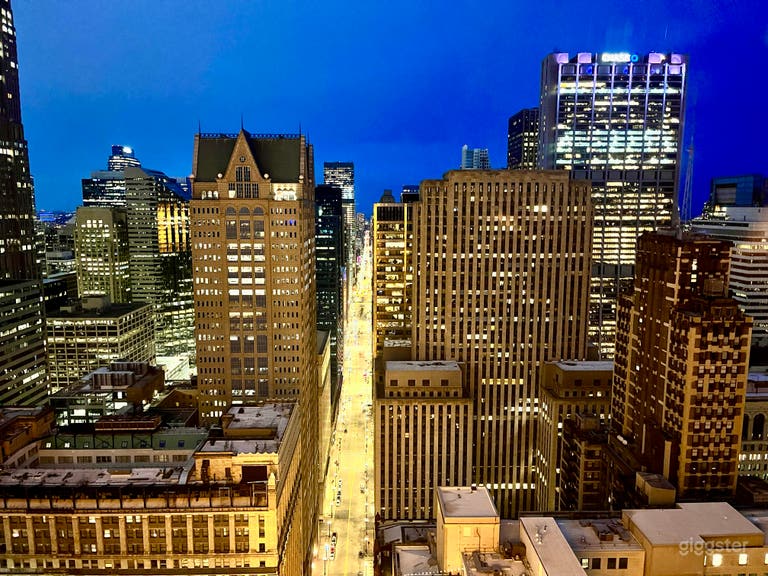  Downtown Quiet Work Space with Skyline View 