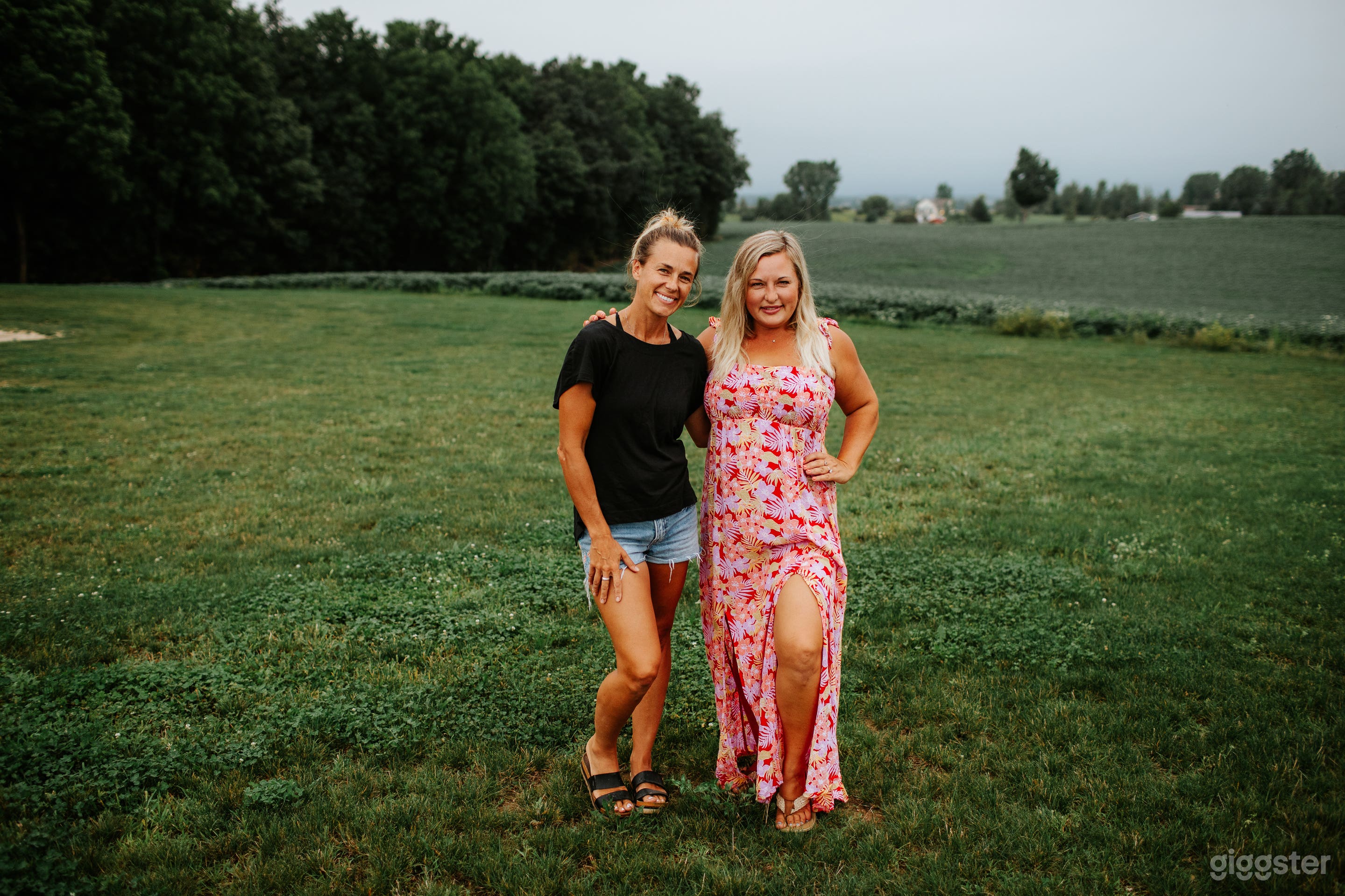 Rolling Hills with Modern Black Barn near Detroit Photo 3