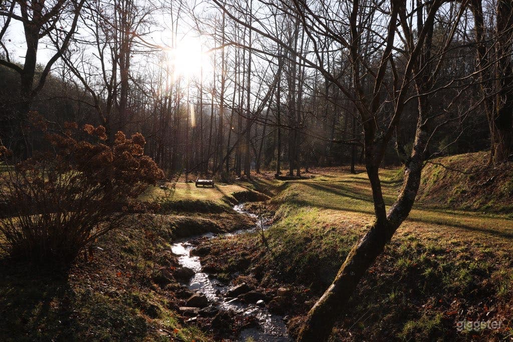 Late 1800's Log Cabin on 8- acres with Studio Photo 2