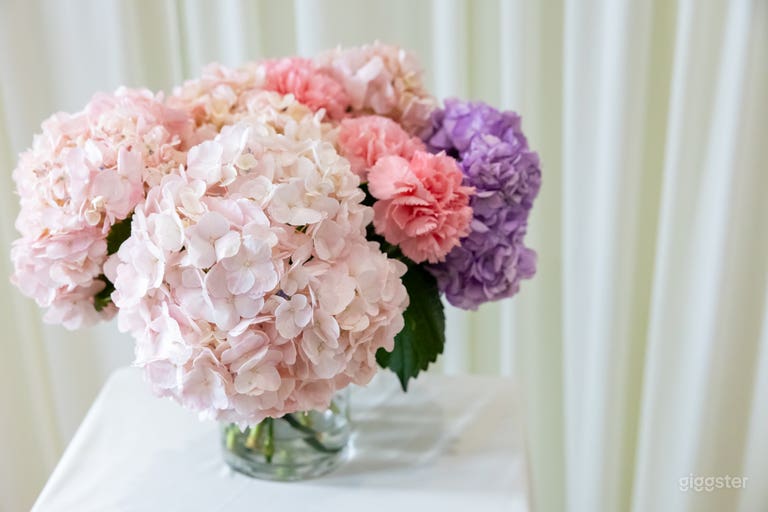  *New* Boutique Studio with Spring decor 