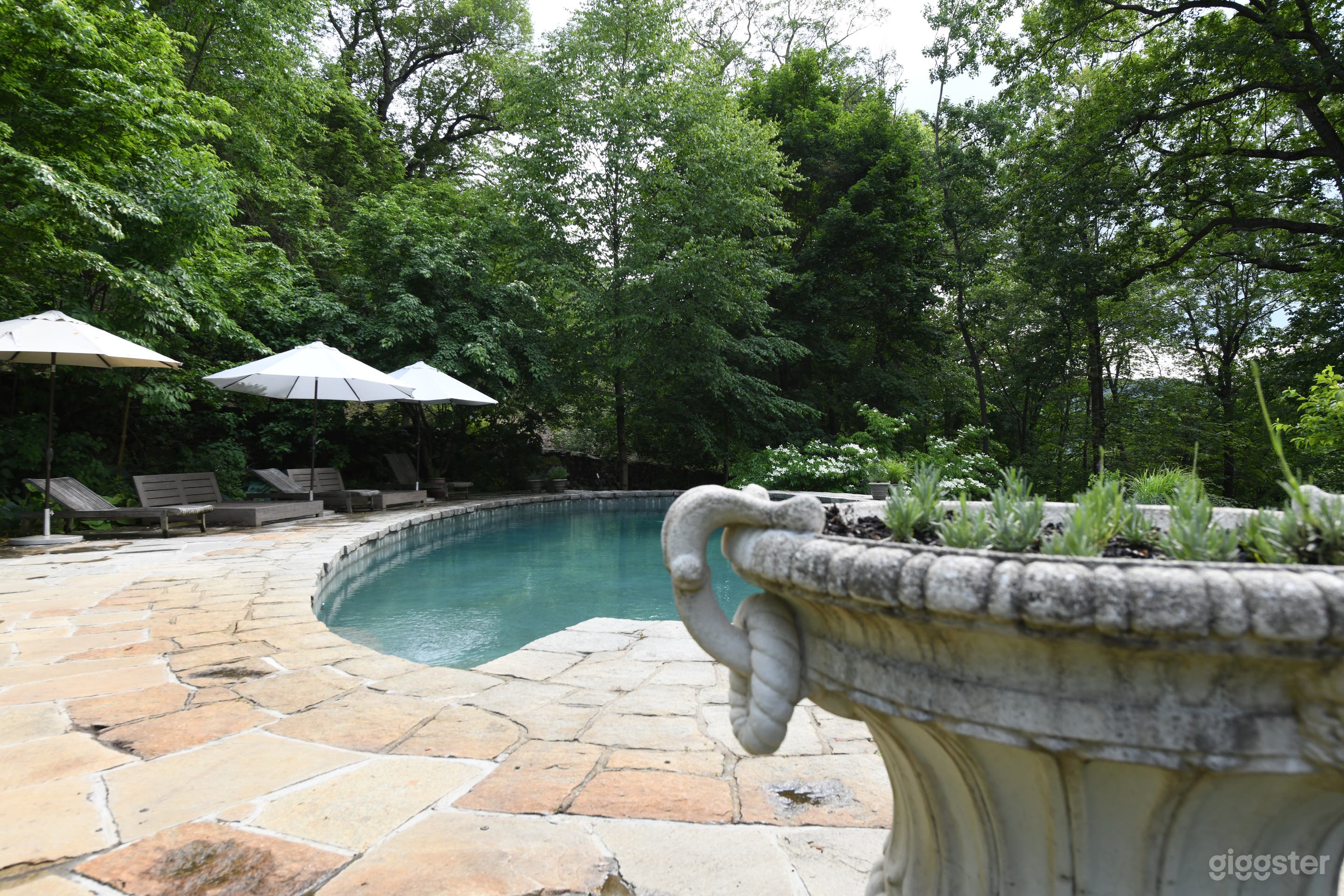 Countryside Pool - Olmsted design in Upstate NY Photo 1