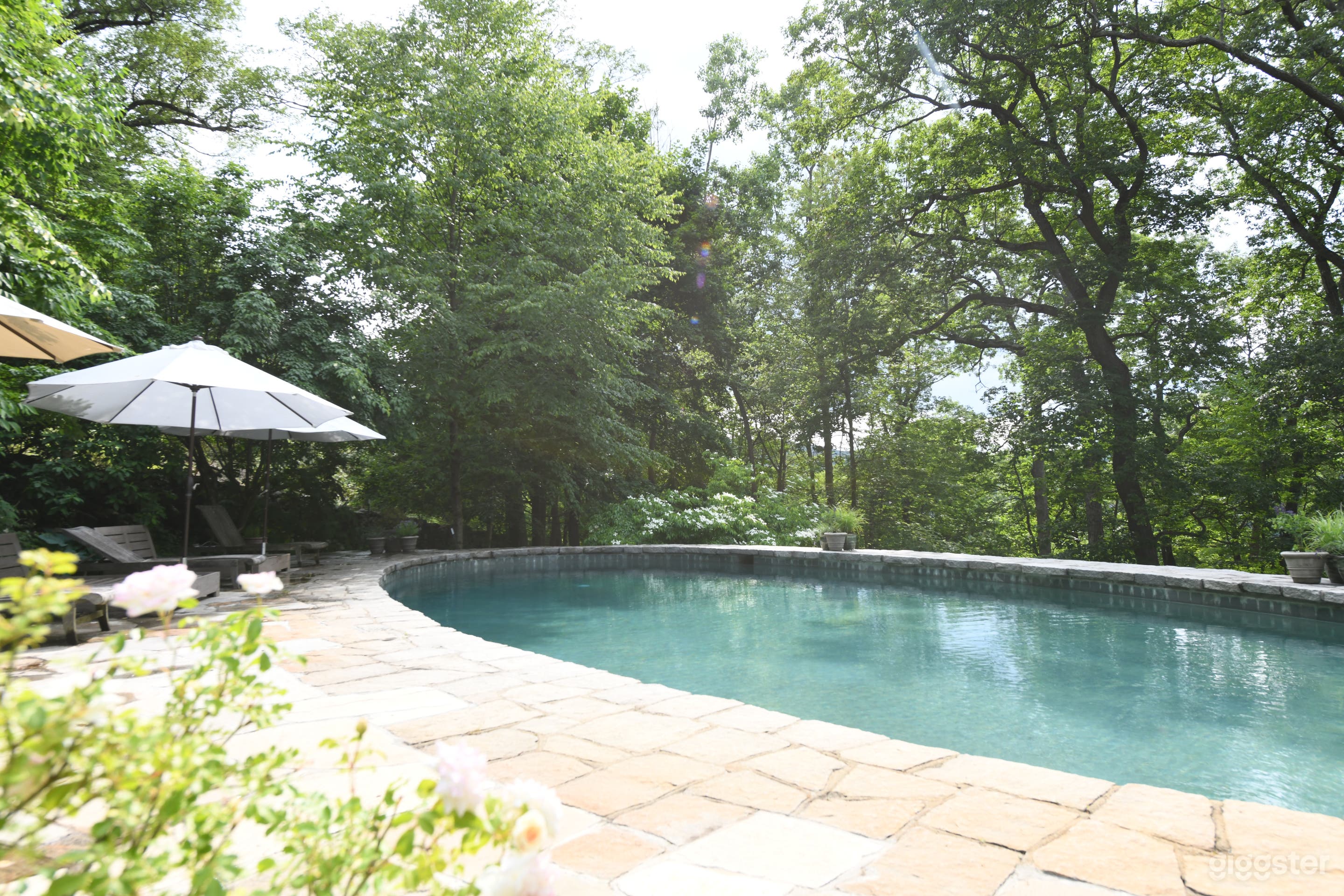 Countryside Pool - Olmsted design in Upstate NY Photo 2