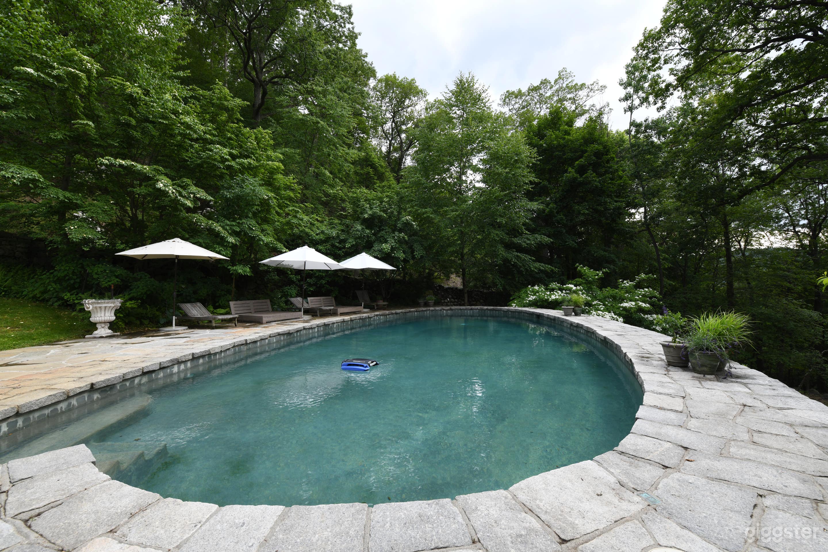 Countryside Pool - Olmsted design in Upstate NY Photo 3