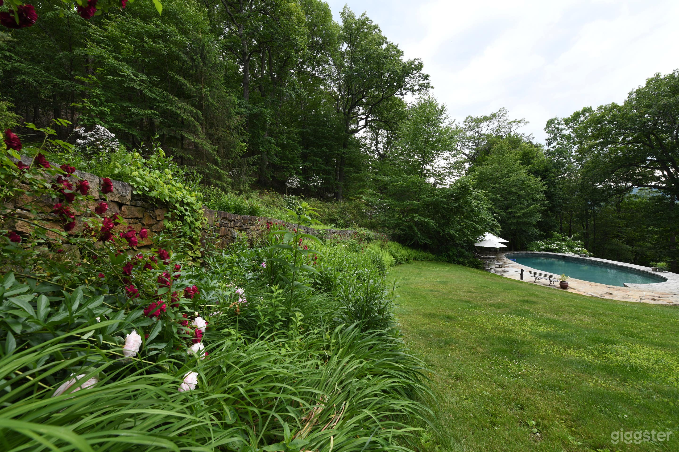 Countryside Pool - Olmsted design in Upstate NY Photo 4