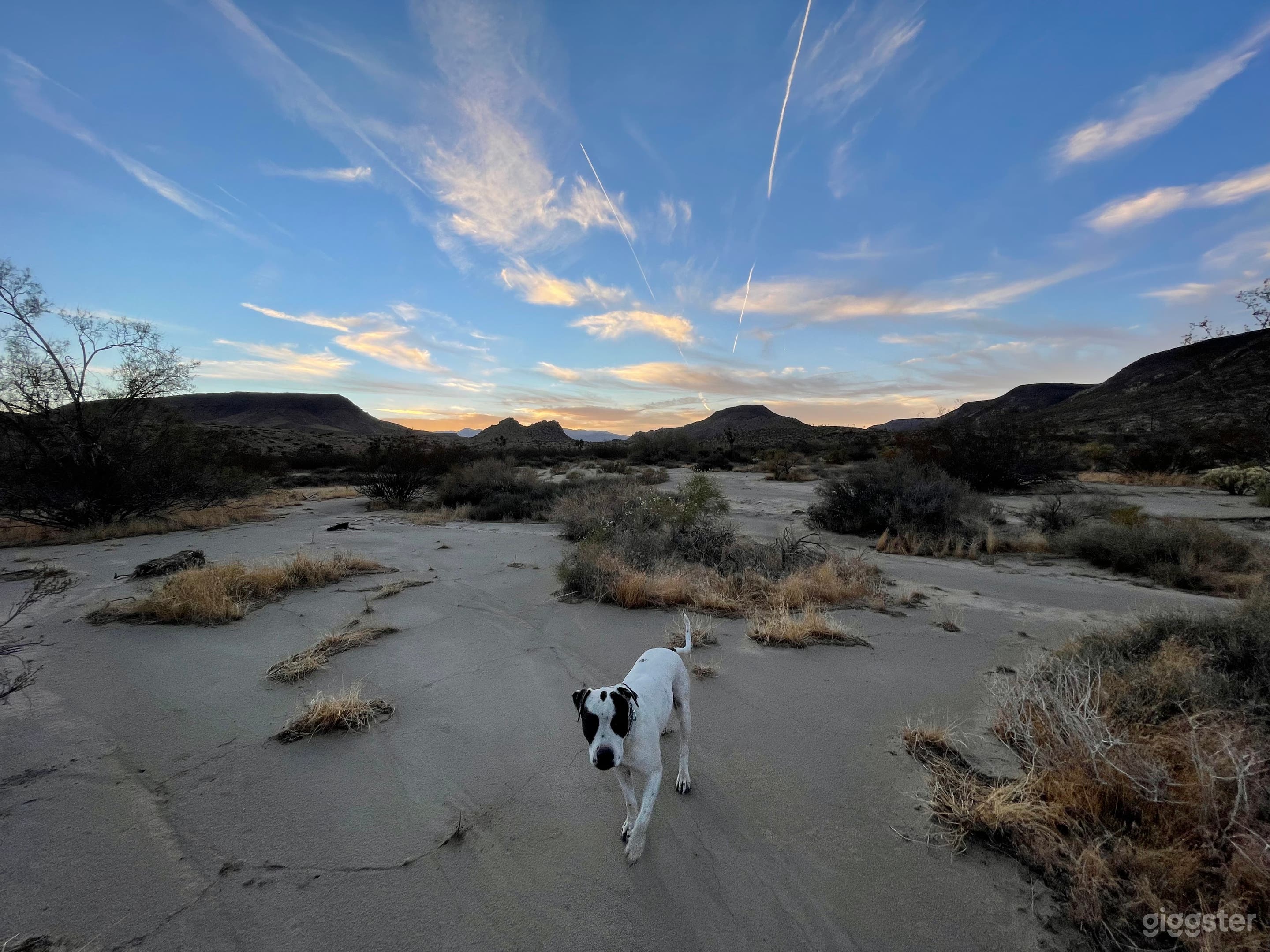 Epic sunsets and mountain views