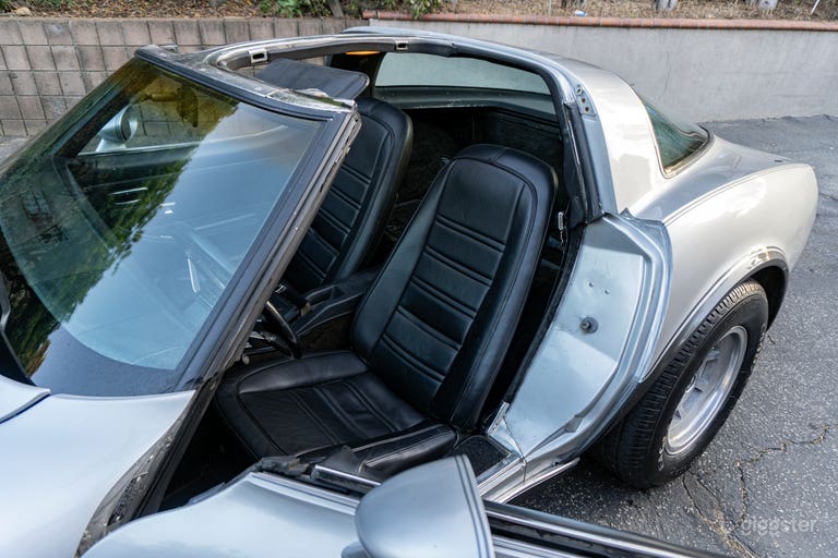  Exquisite 25th Anniversary Two-Tone 1978 Silver Corvette 
