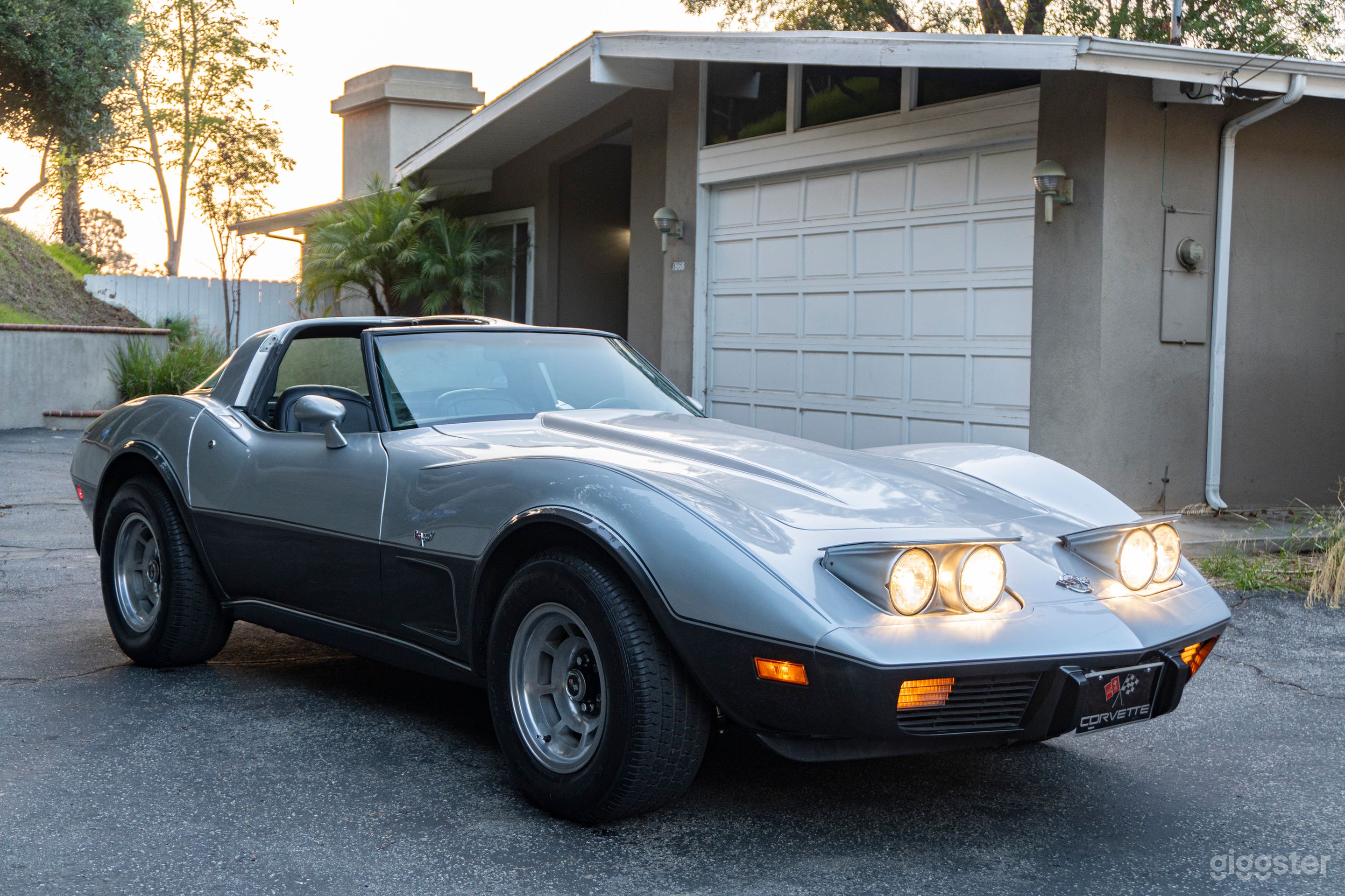 Exquisite 25th Anniversary Two-Tone 1978 Silver Corvette Photo 4