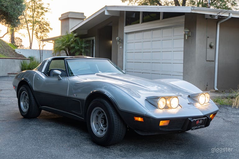  Exquisite 25th Anniversary Two-Tone 1978 Silver Corvette 