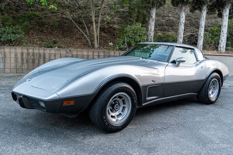  Exquisite 25th Anniversary Two-Tone 1978 Silver Corvette 