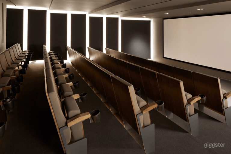  Salle de projection au 1 Hotel Brooklyn Bridge 
