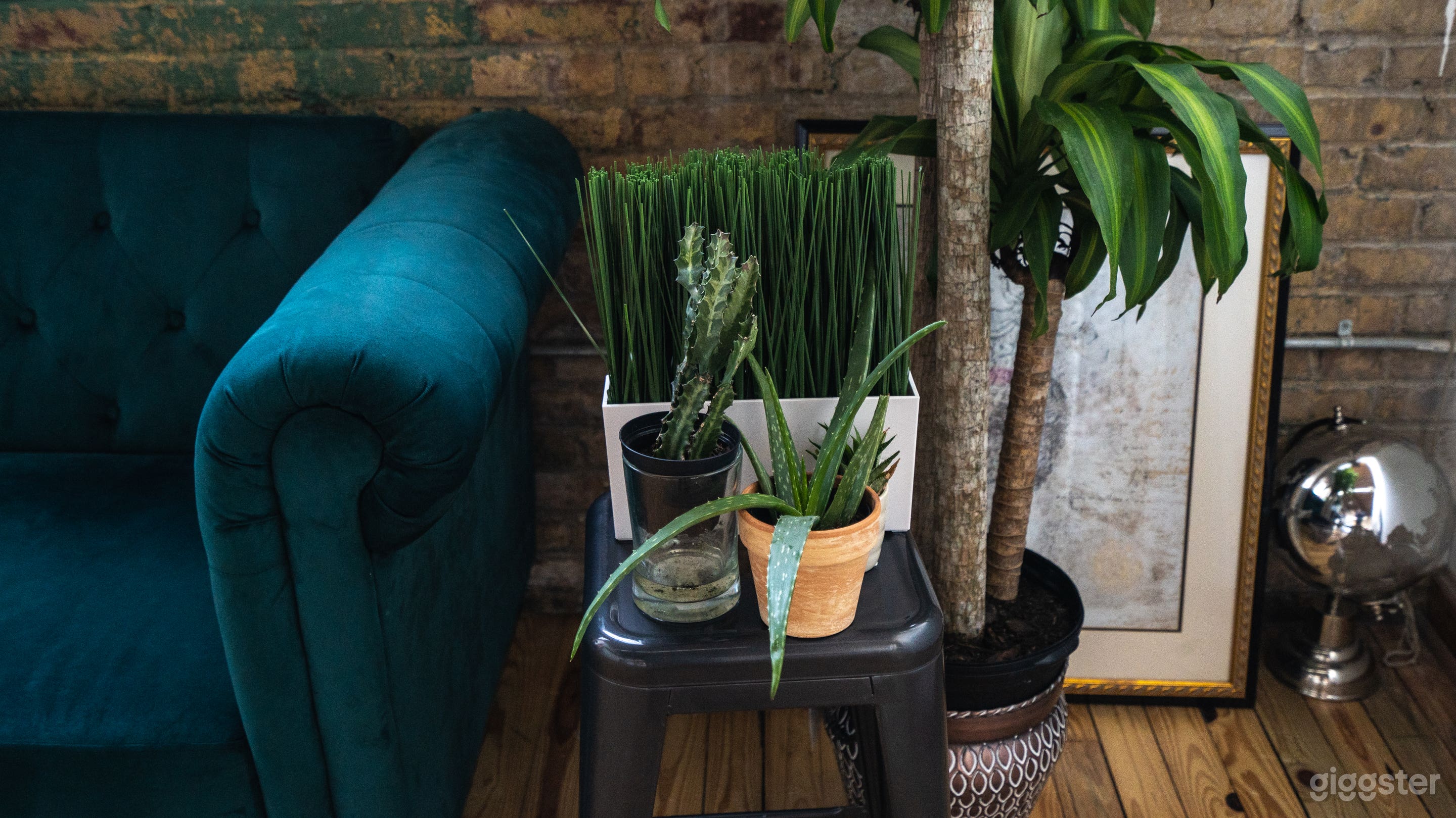 Close up of some of the plants/props.