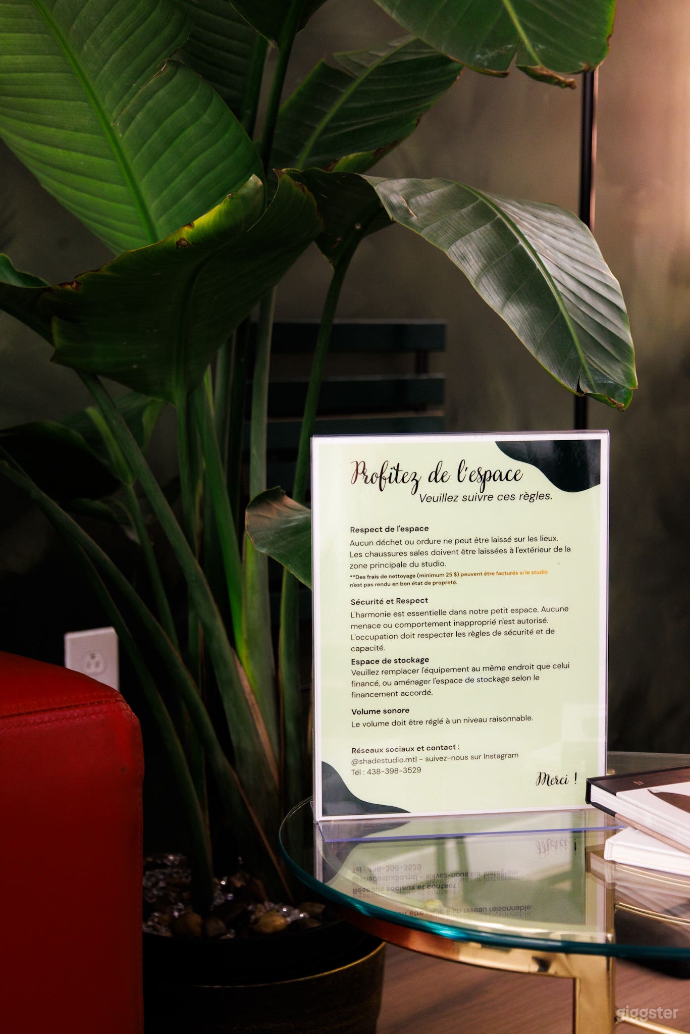 Photo studio | Cyclorama & rental equipment Photo 4