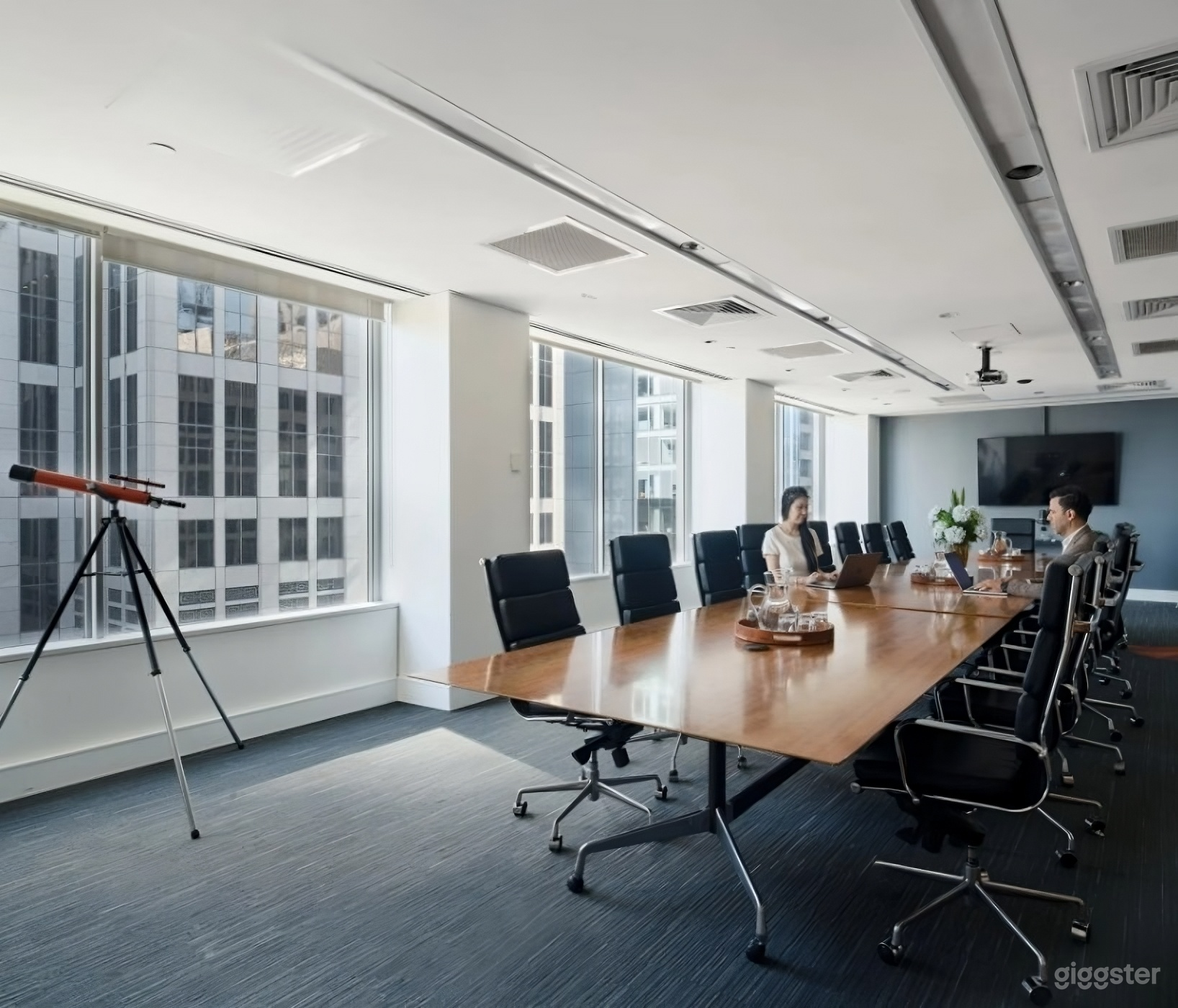 Everest I Boardroom for 18 person Photo 2