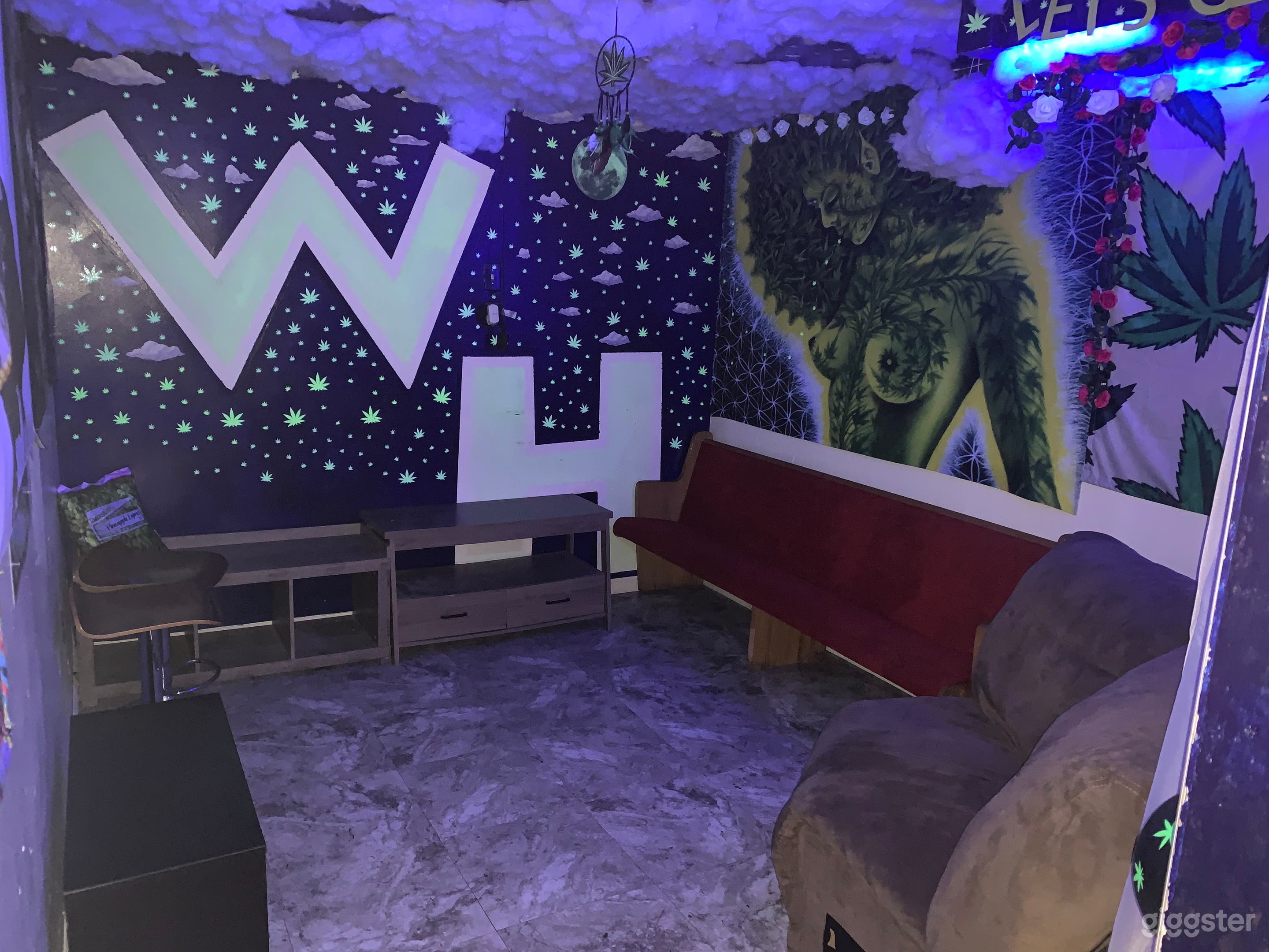 The Famous Whytehouse Rm it Glows in the dark and has black light so white is illuminated in this room