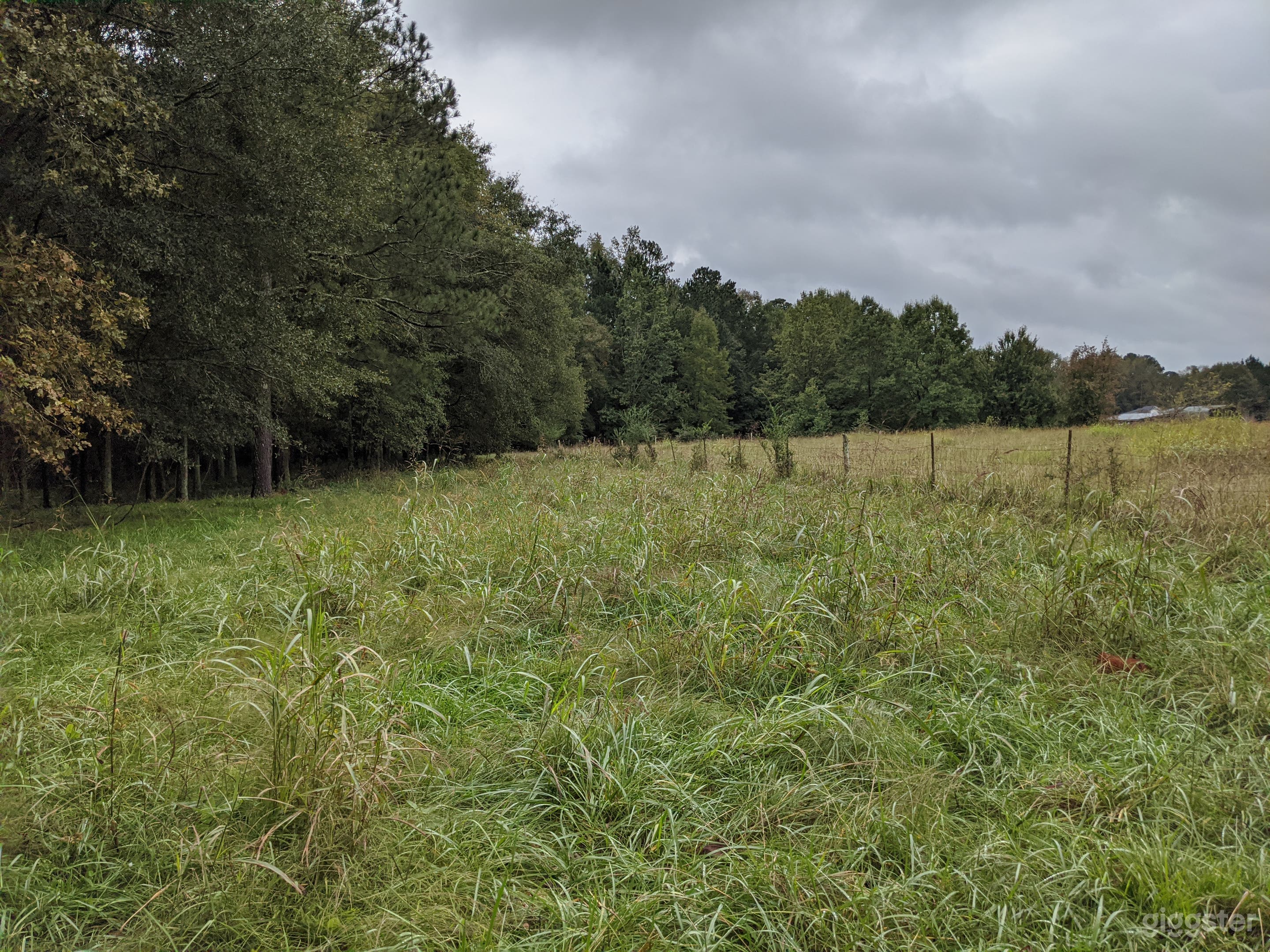 Back of property before small forest.

https://drive.google.com/file/d/173pZM9lznmeOpp9cbe-FFItVYQFIyptu/view?usp=sharing