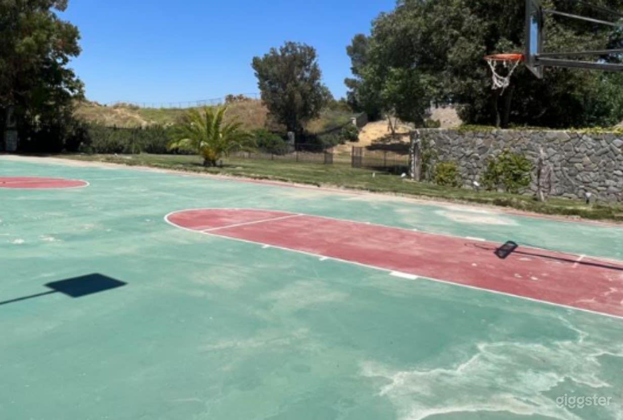 Open and Spacious Outdoor Basketball Court Photo 4