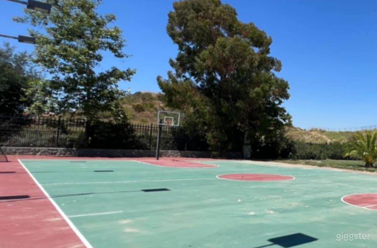 Open and Spacious Outdoor Basketball Court Photo 1