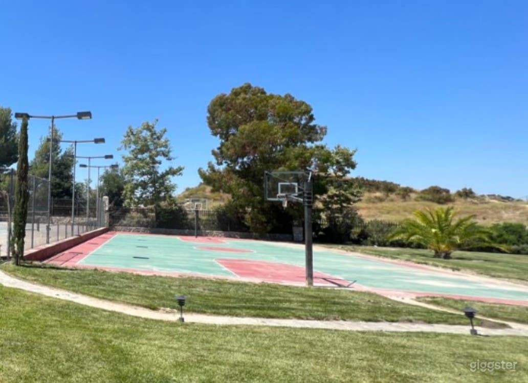 Open and Spacious Outdoor Basketball Court Photo 2