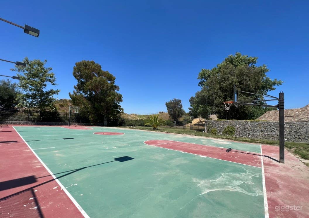Open and Spacious Outdoor Basketball Court Photo 3