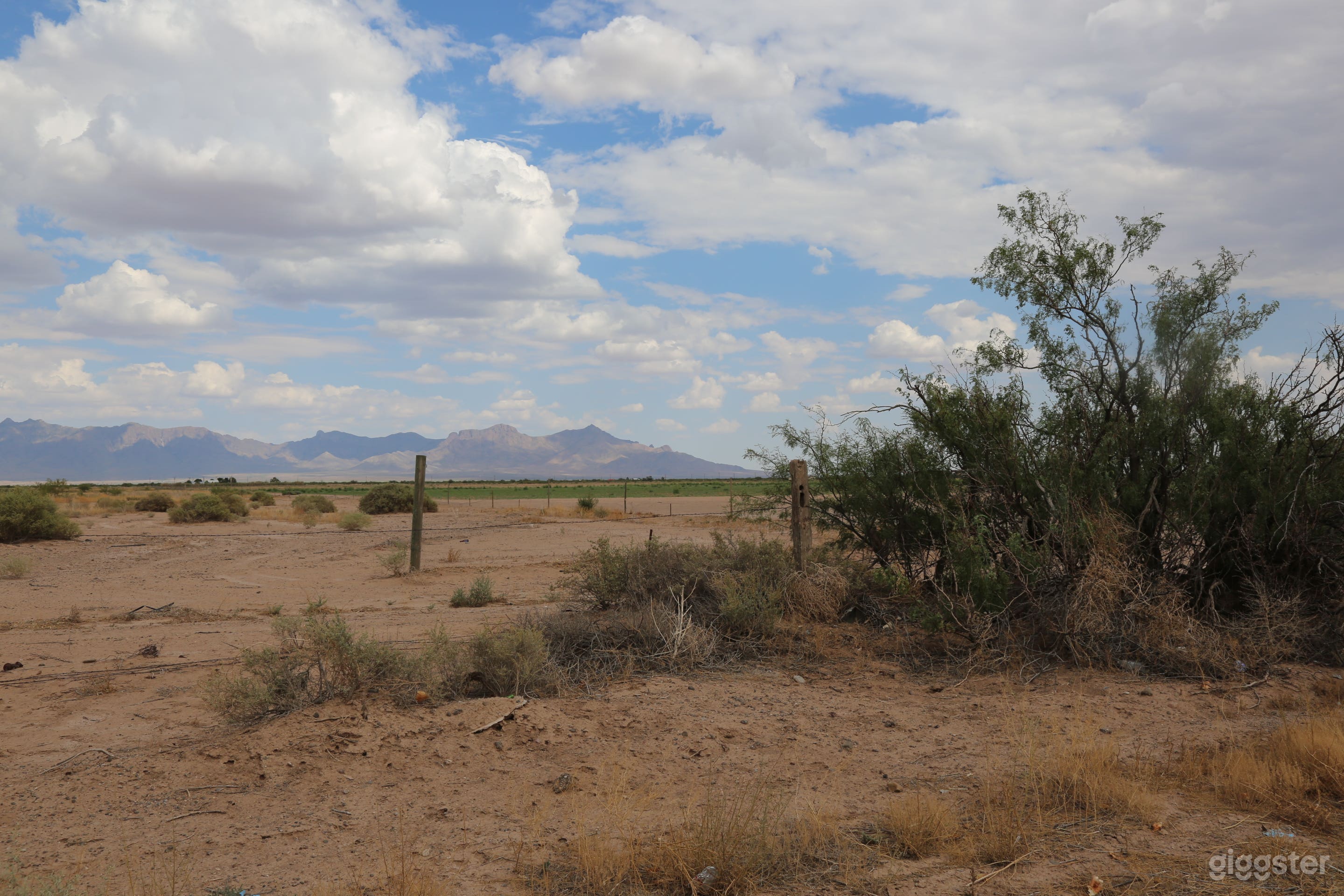 Open 40 Acre Land- Freedom to Create Photo 4