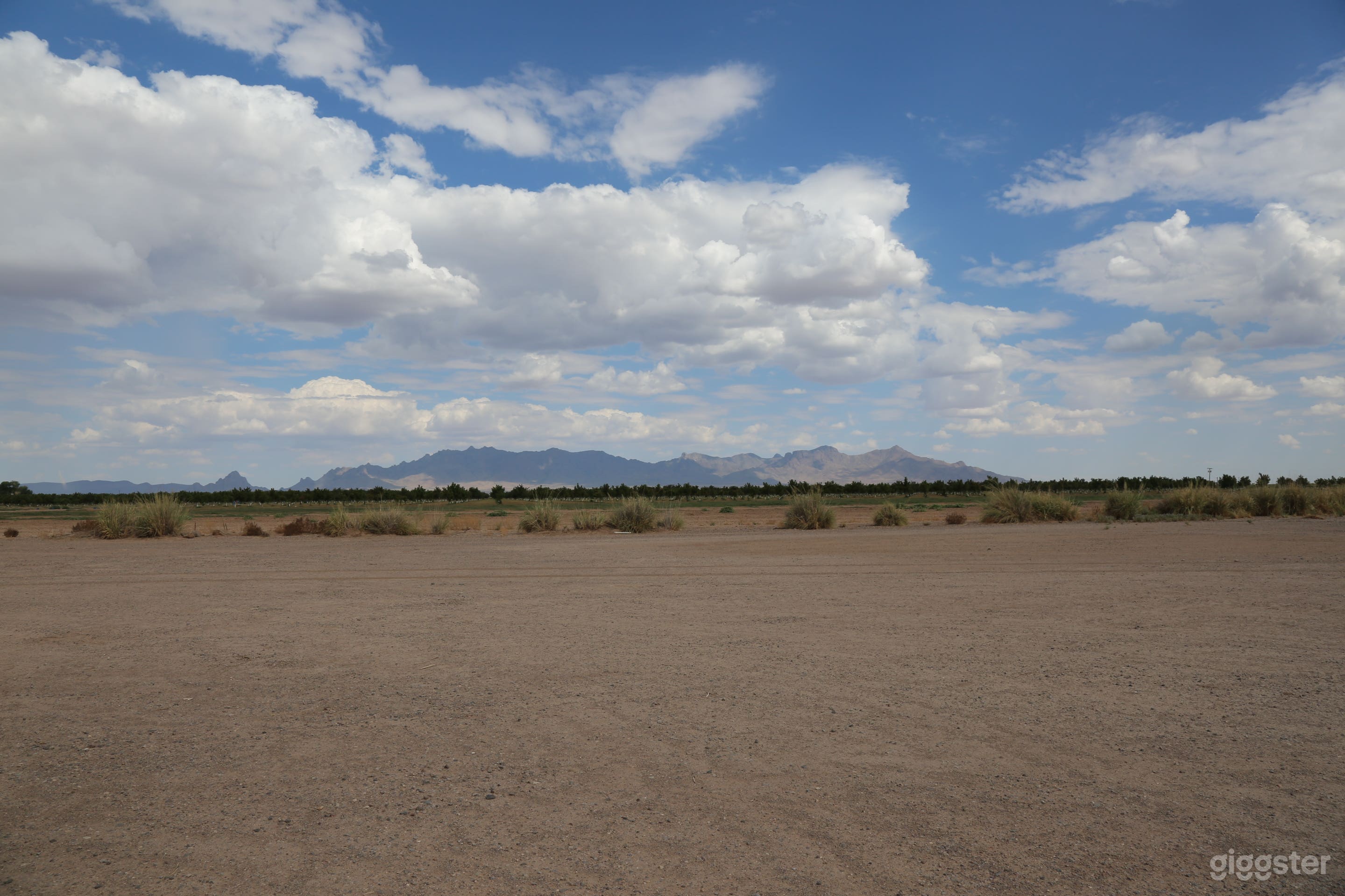 Open 40 Acre Land- Freedom to Create Photo 3