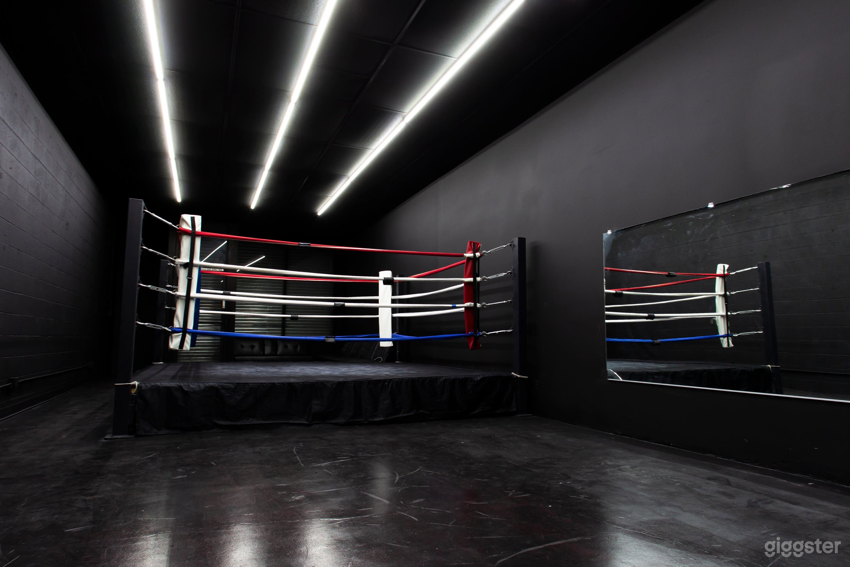 Sleek, Modern Studio & Boxing Ring Photo 3