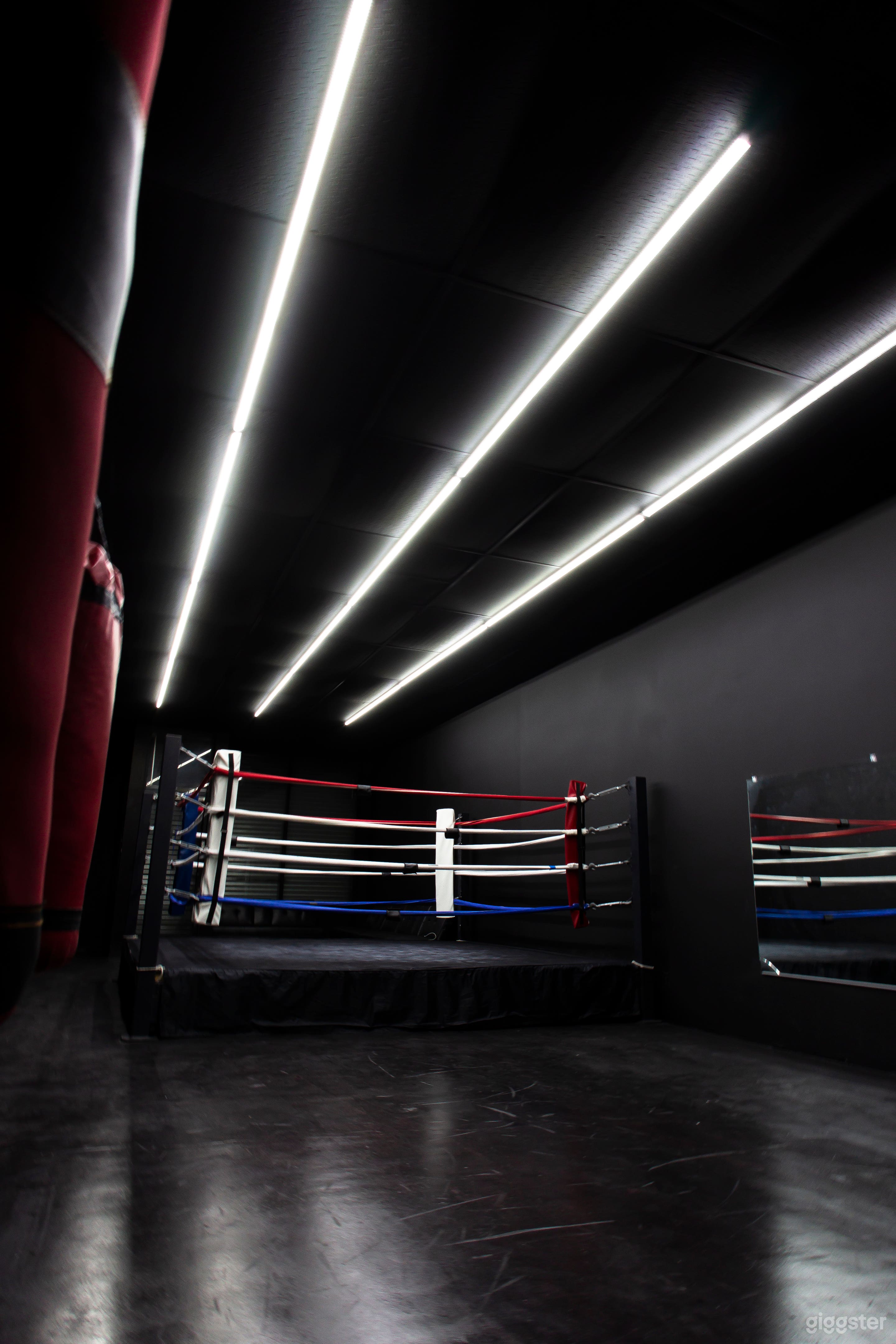 Sleek, Modern Studio & Boxing Ring Photo 1