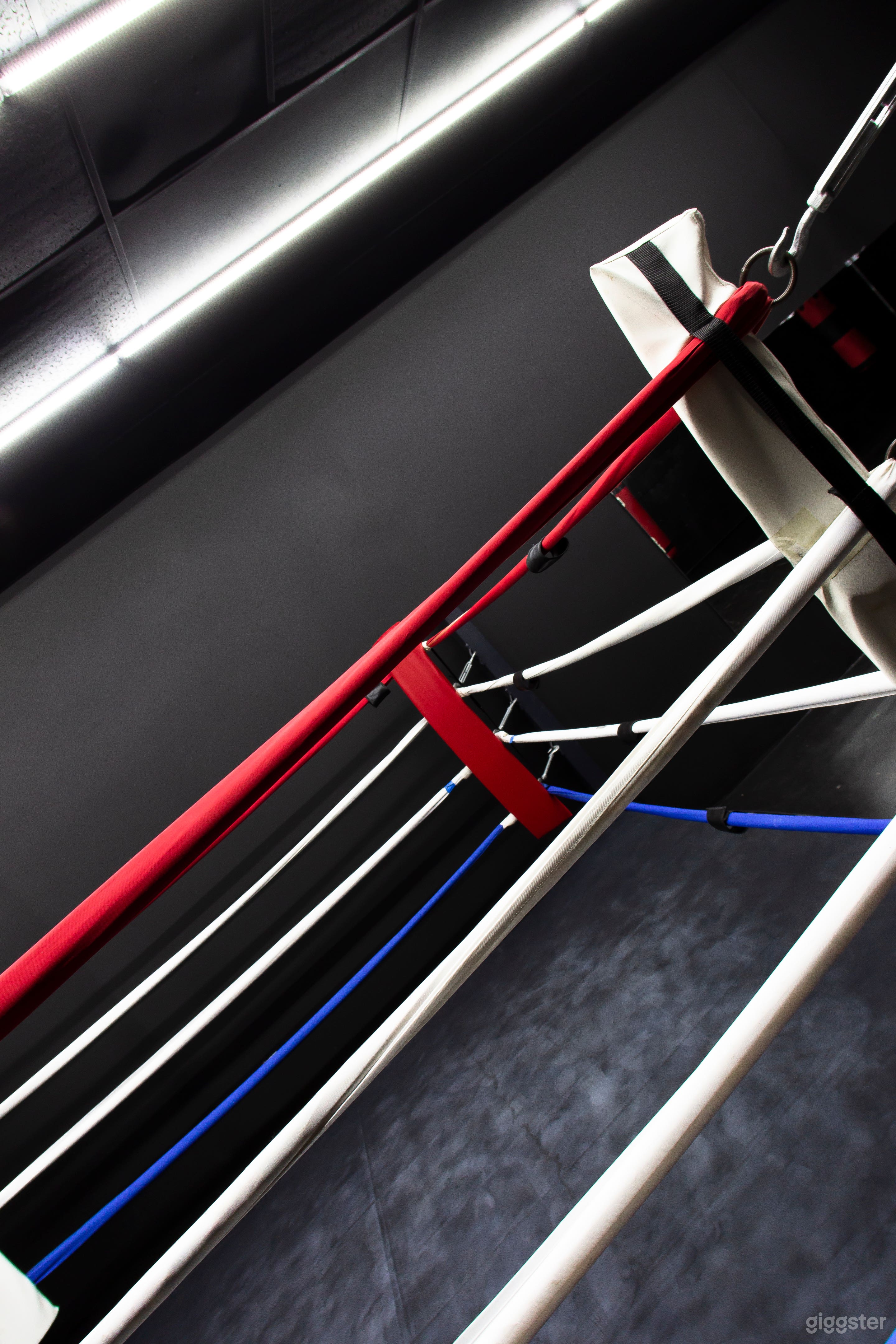 Sleek, Modern Studio & Boxing Ring Photo 4