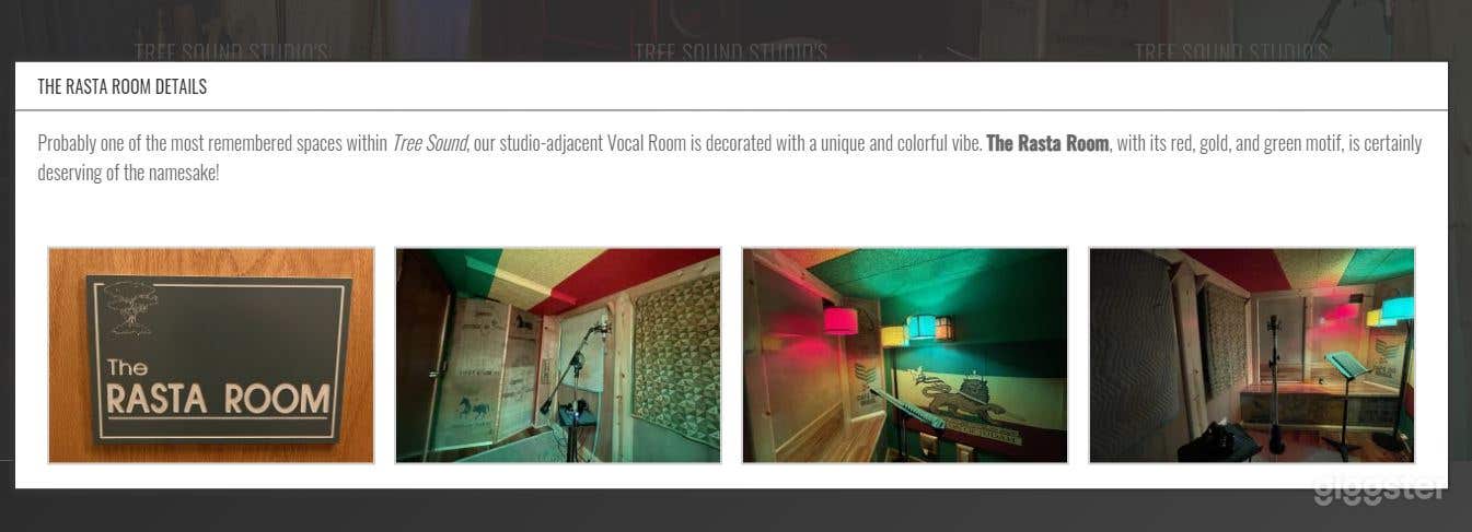 The Rasta Room - Vocal  Booth with a Colorful Vibe Photo 2