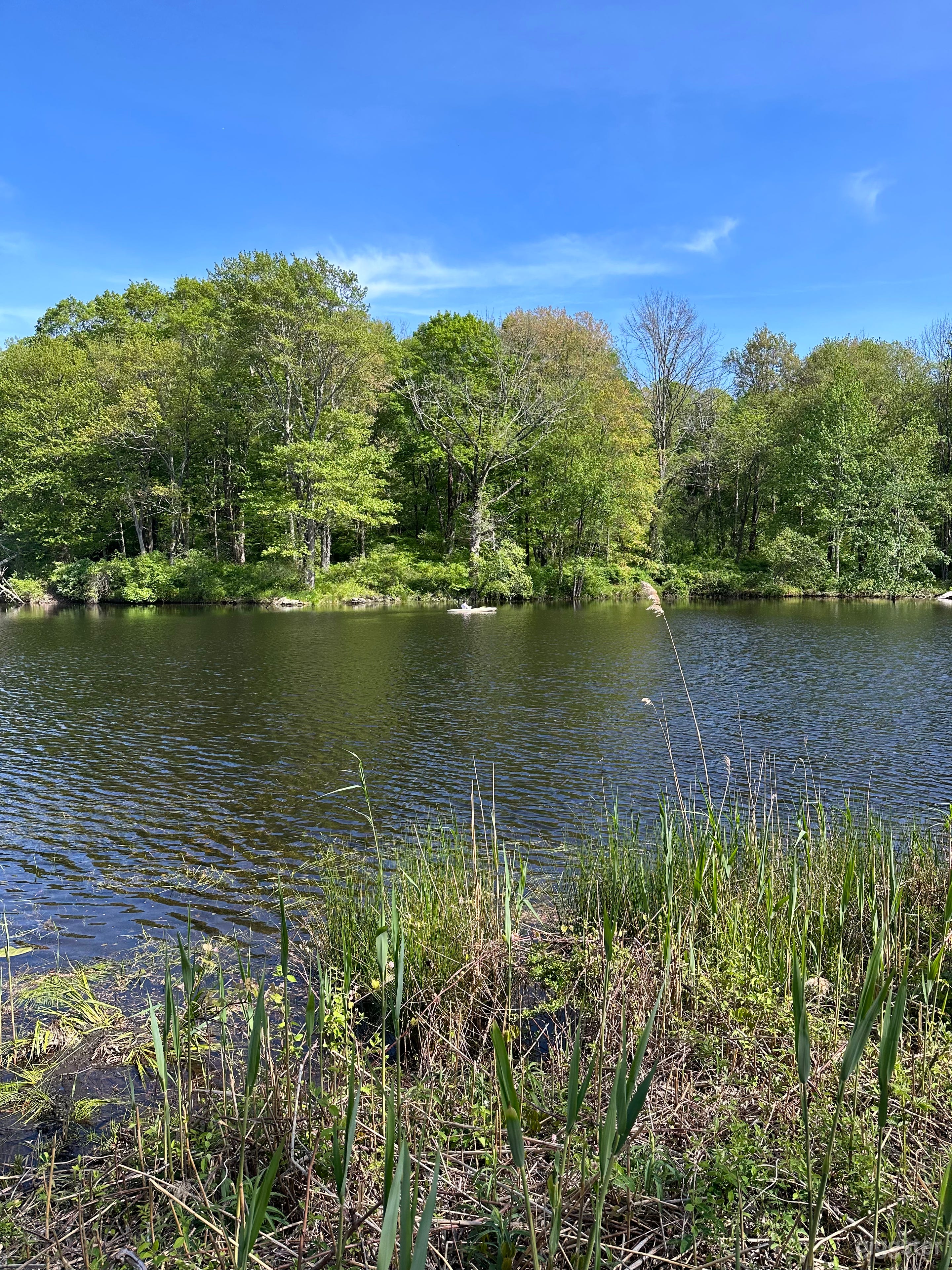 1865 Sherman Colonial with Lake Views and pool Photo 3