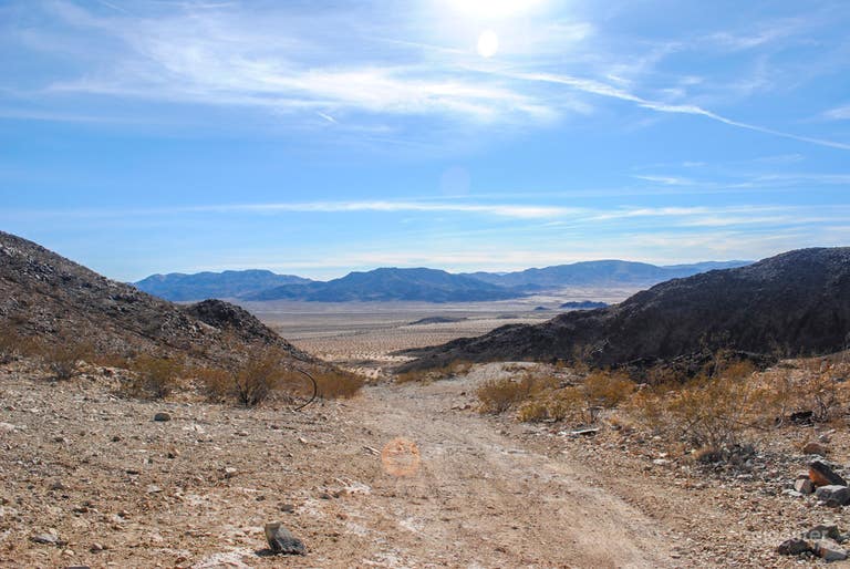  Doberman mountain ready for heavy use 