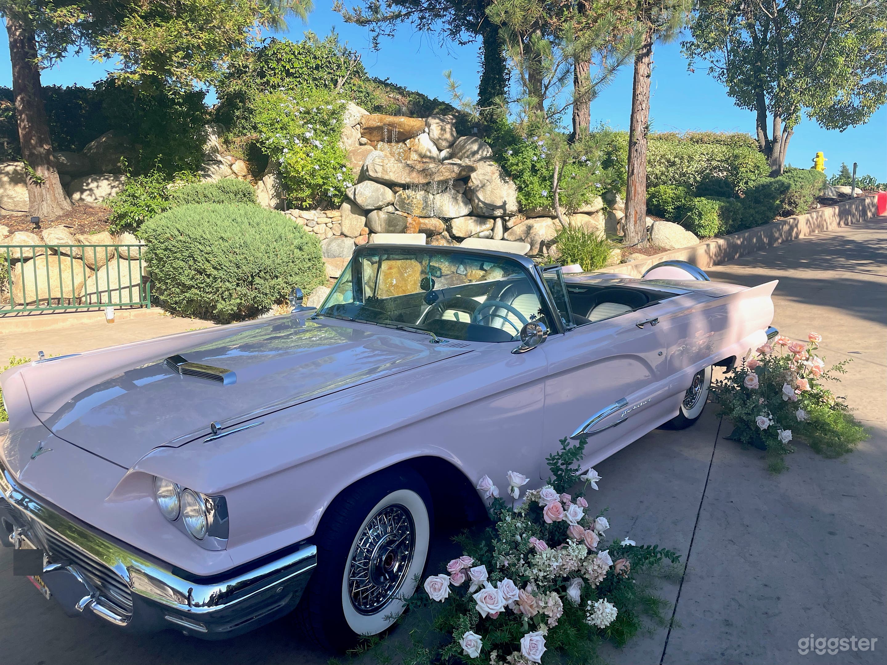 #76,104 Pink Classic 1959 Ford Thunderbird  Photo 4