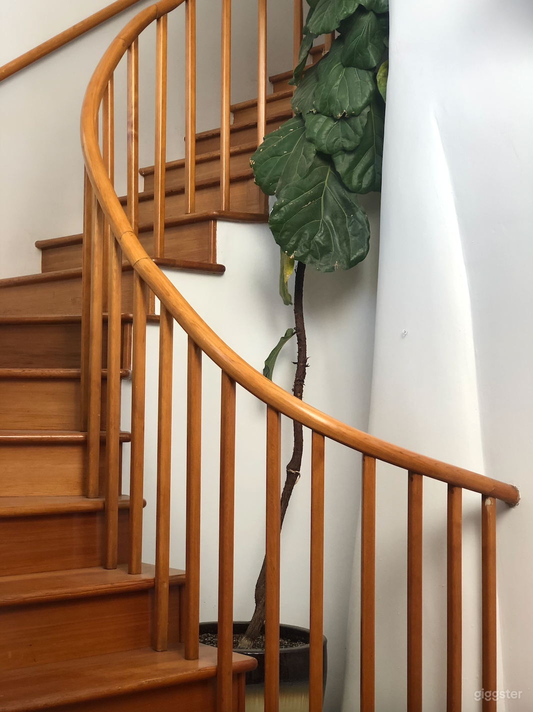 Gorgeous Castle Room for Business Meetings Photo 3