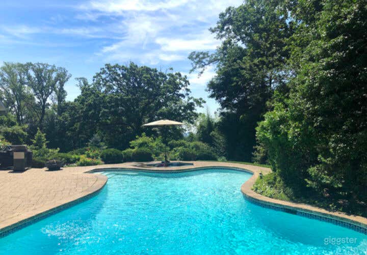 Mid Century Modern Pool Photo 2