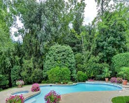  Mid Century Modern Pool 