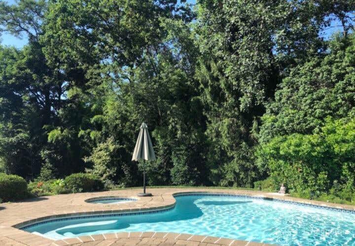 Mid Century Modern Pool Photo 3
