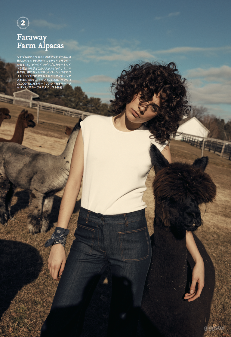  Hudson Valley Alpaca & Horse Farm 