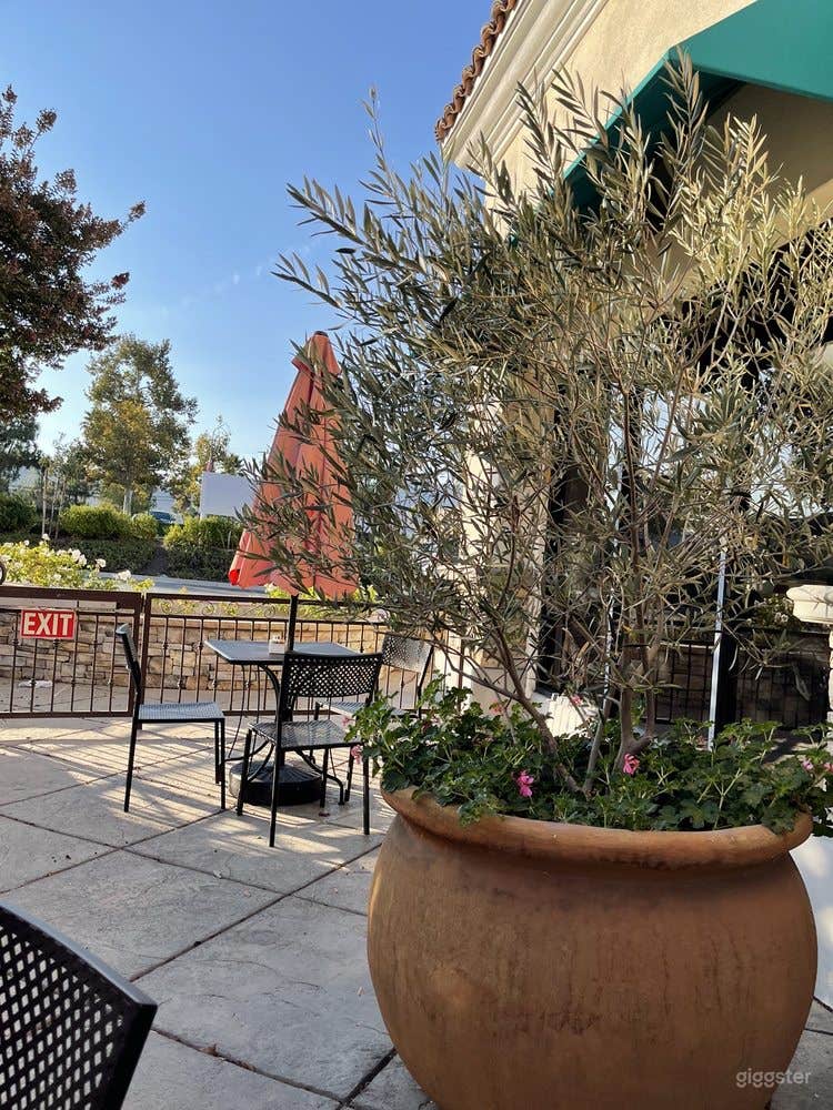 The Patio in Cozy Café Vibe Photo 4