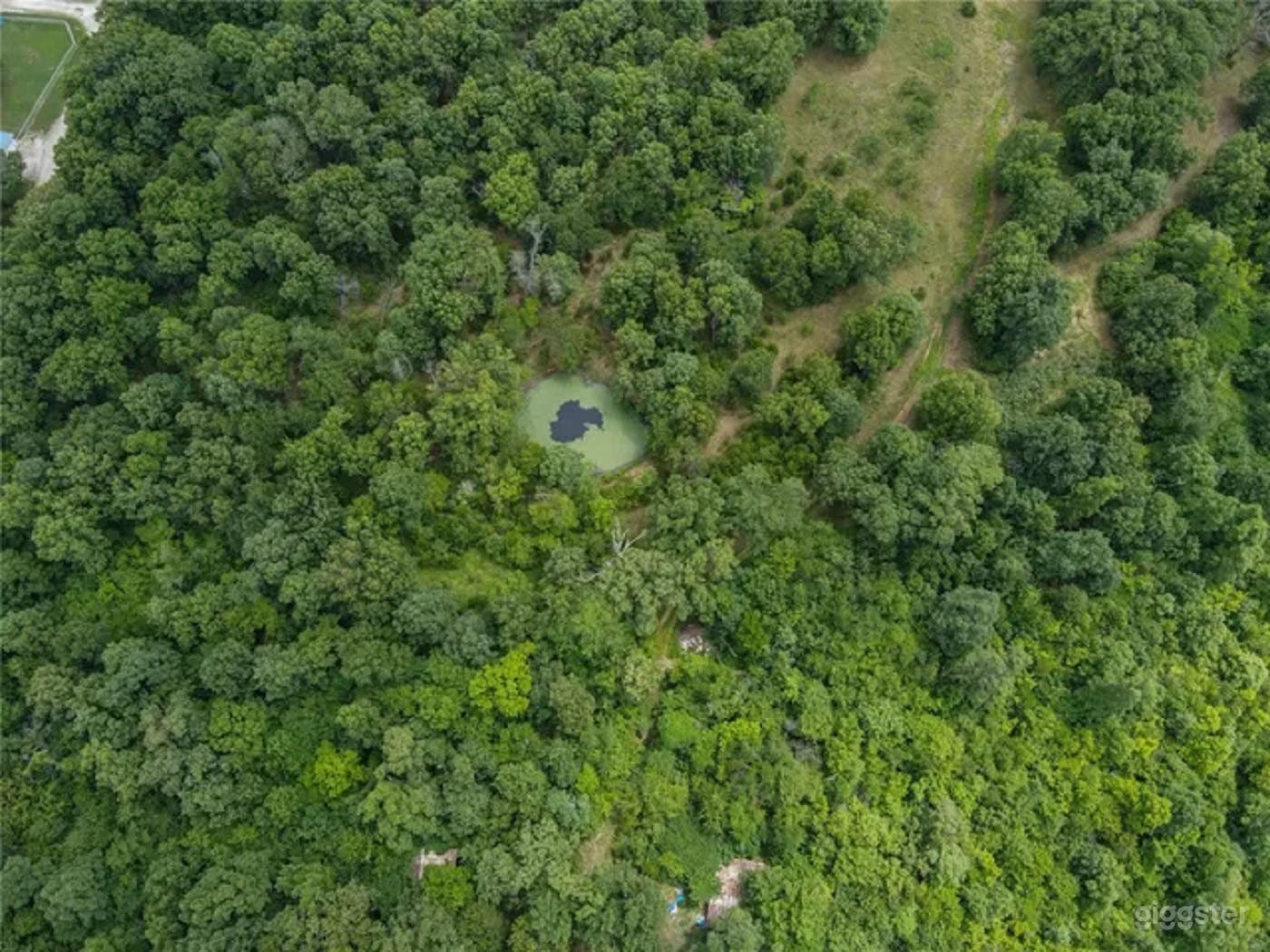 Rustic ~100 Acre Farm Bordering National Forest Photo 4